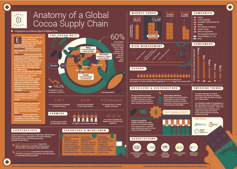 infographic exploring the global cocoa supply chain
